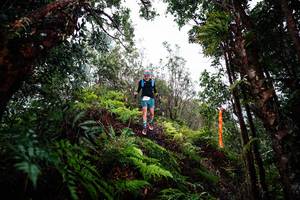 BIB: 
                            <button type="button" onclick="openModal(26204729)" class="btn btn-primary btn-sm float-right btn-popup" data-toggle="modal" data-target=".modal-high-quality">
                        <i class="fas fa-shopping-cart"></i> Add to Cart
                    </button>
                                            <button type="button" onclick="isThisMe(26204729, true)" class="btn btn-success btn-sm float-right btn-popup btn-isme hidden" data-toggle="tooltip" data-placement="bottom" title="นี่คือรูปของคุณใช่ไหม คลิกที่นี่เพื่อเอาเข้าอัลบั้ม">
                        <i class="fas fa-plus"></i> Add to album
                    </button>
                    <button type="button" onclick="isThisMe(26204729, false)" class="btn btn-warning btn-sm float-right btn-popup btn-isnotme hidden">
                        <i class="fas fa-ban"></i> Remove from album
                    </button>